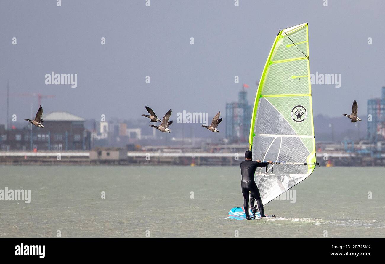 Calshot, Southampton. Friday 13th March 2020 UK Weather. A gaggle of ...