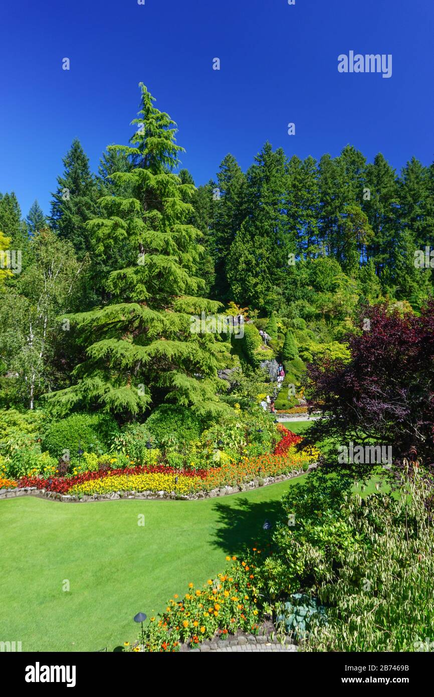 Brentwood Bay, British Columbia, Canada A group of visitors exploring
