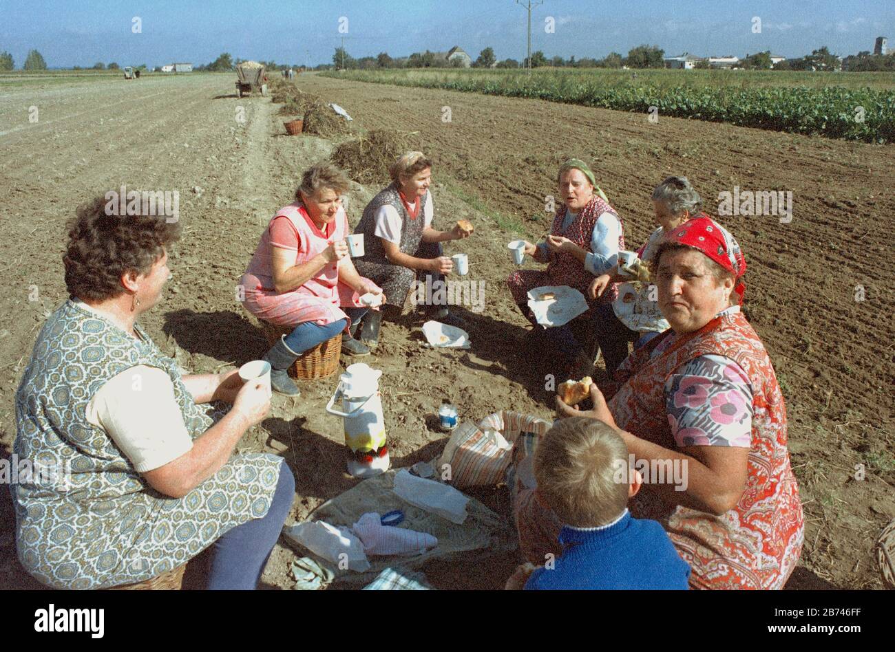 01 January 1993, Poland, Polen: Members of the German-speaking minority in Upper Silesia/Poland take a break during the potato harvest in the fields. Photo: Paul Glaser/dpa-Zentralbild/ZB Stock Photo