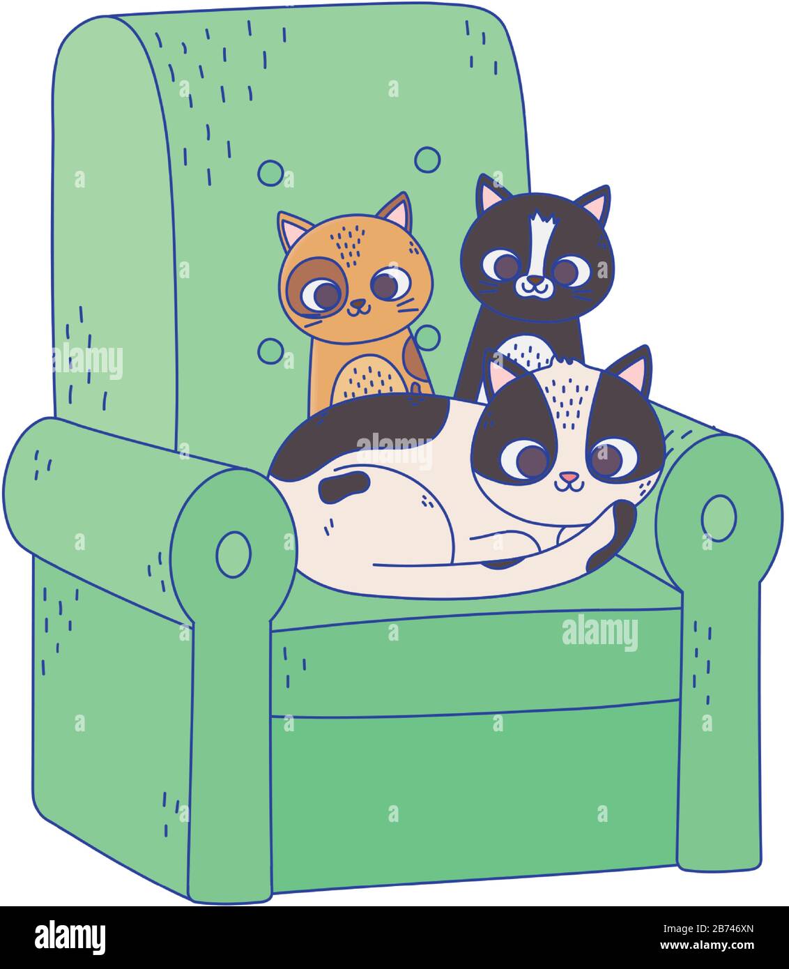 cute cats different breeds resting in green sofa cartoon vector