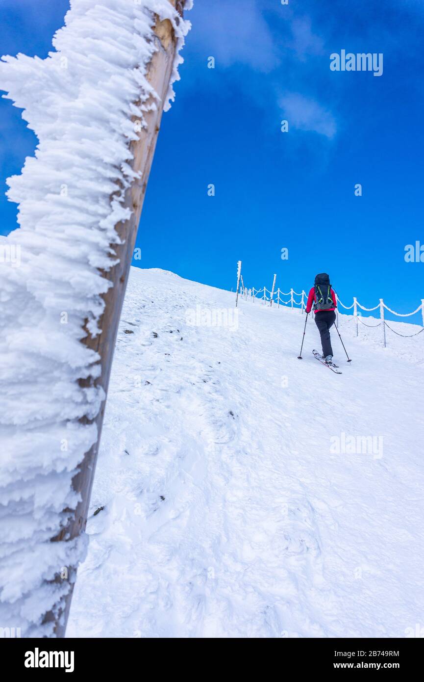 Cross-country skiing. Fenced hiking path to mountain on a sunny day in winter, Giant mountains. Tourist is treading to mountain. Stock Photo