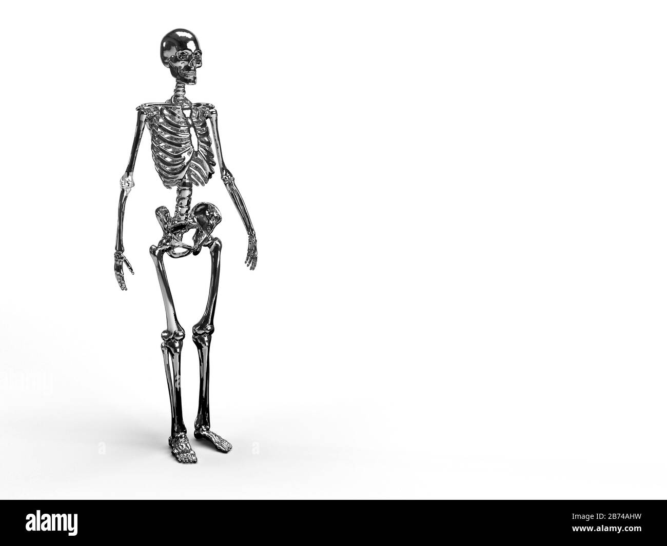3d render of a full body shiny reflective metallic skeleton in white background with space for text. Stock Photo