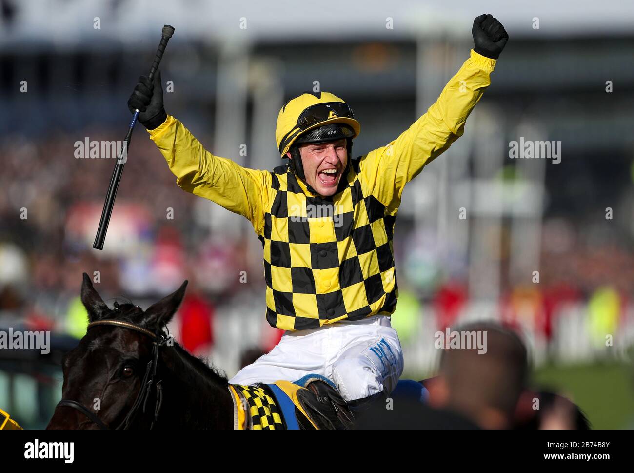 Jockey Paul Townend celebrates winning the Magners Cheltenham Gold Cup Chase with Al Boum Photo during day four of the Cheltenham Festival at Cheltenham Racecourse. Stock Photo