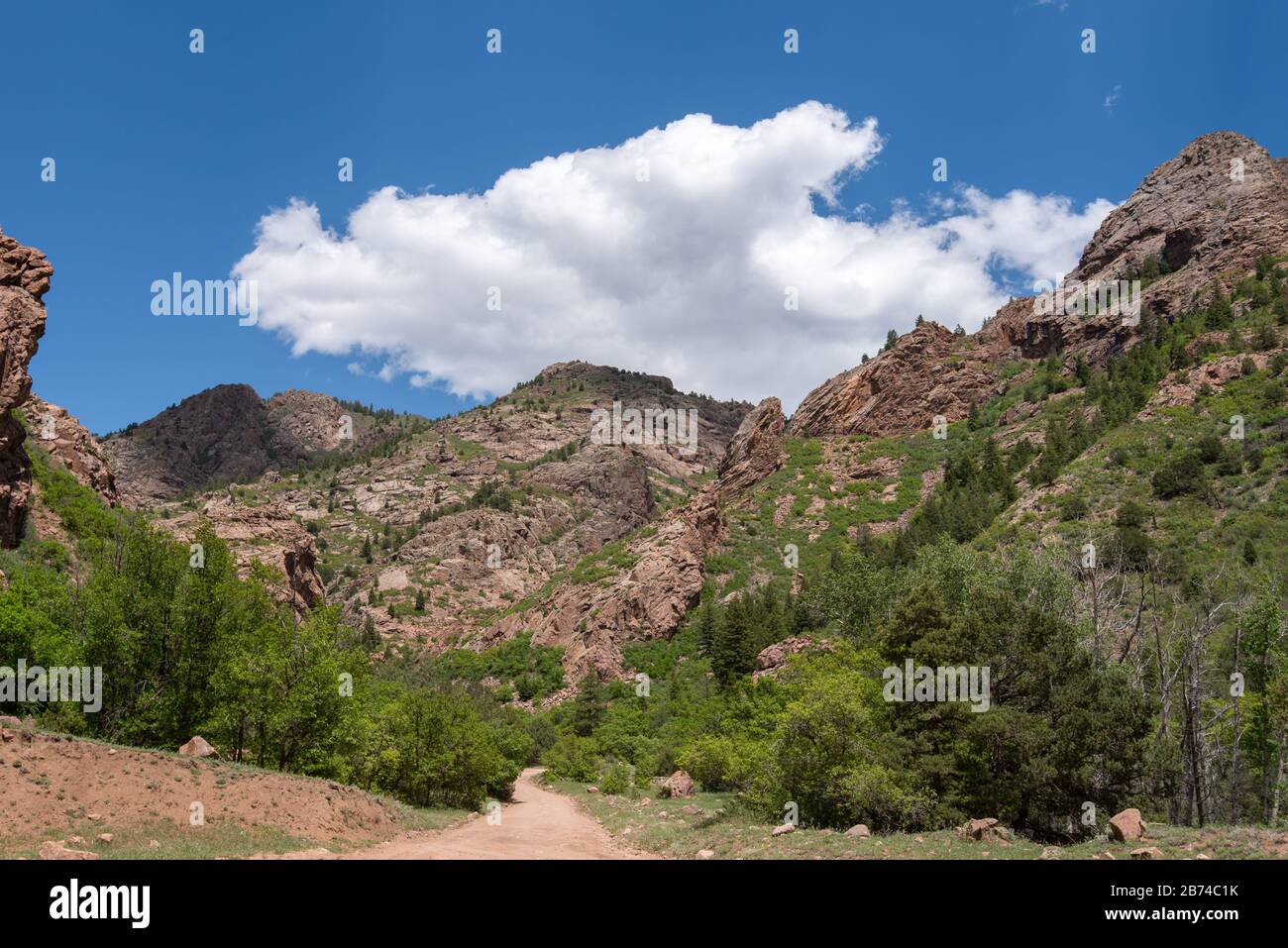 Low angle landscape of trees and rocky hillsides or mountains along the Shelf Road near Cripple Creek, Colorado Stock Photo
