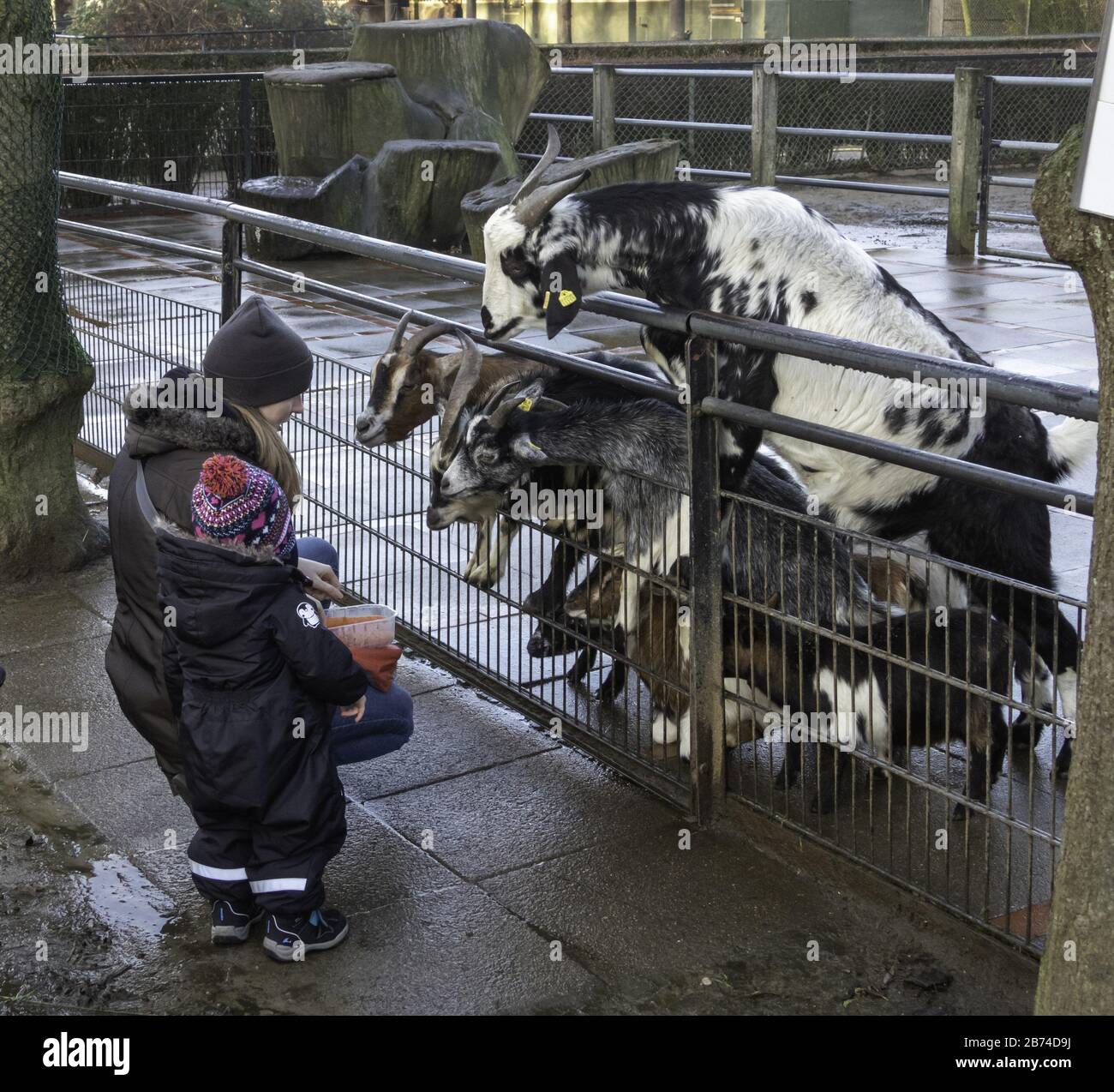 mother and child in petting zoo, january 2020 usage worldwide Stock