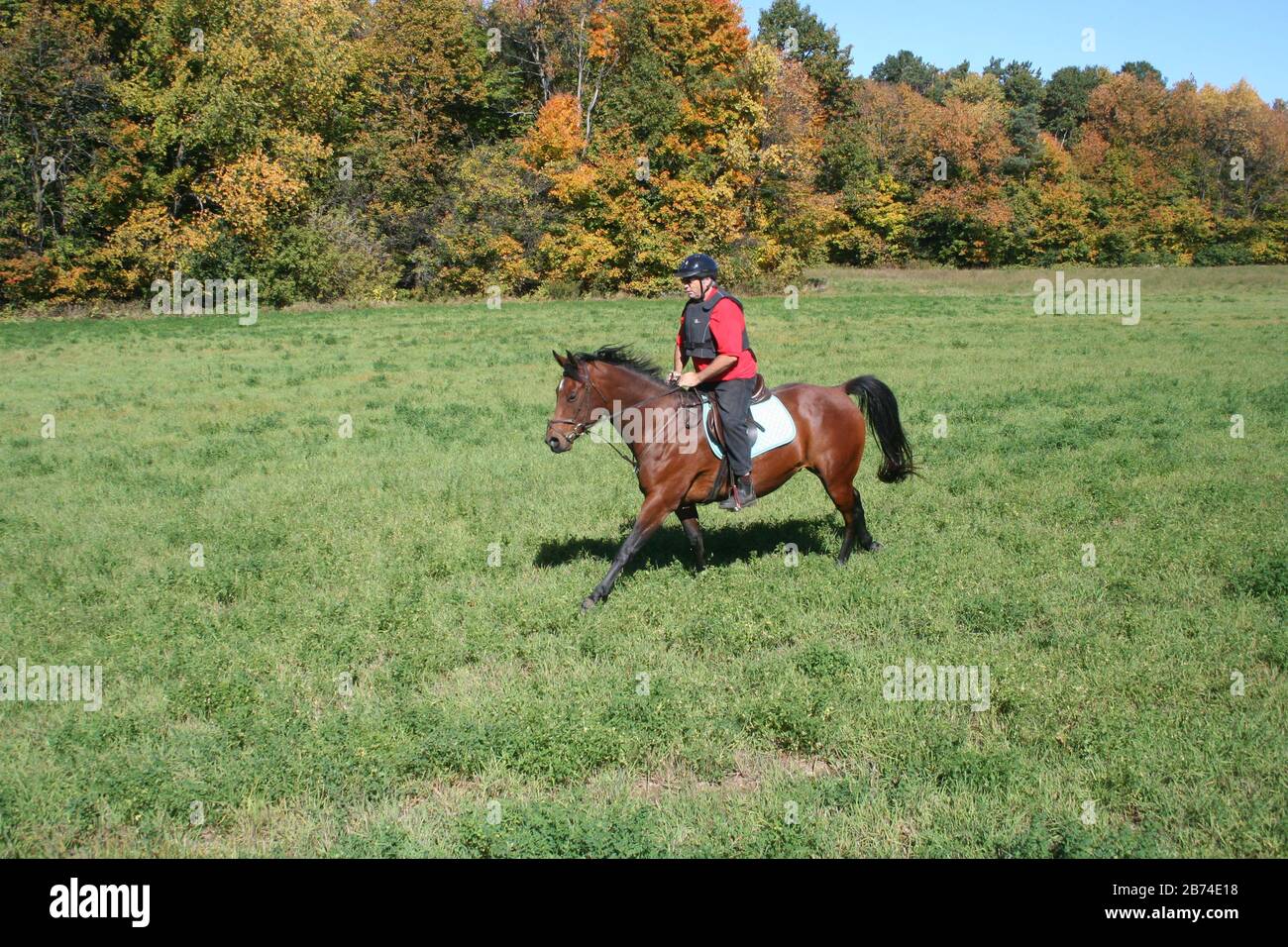 Trail ride Stock Photo