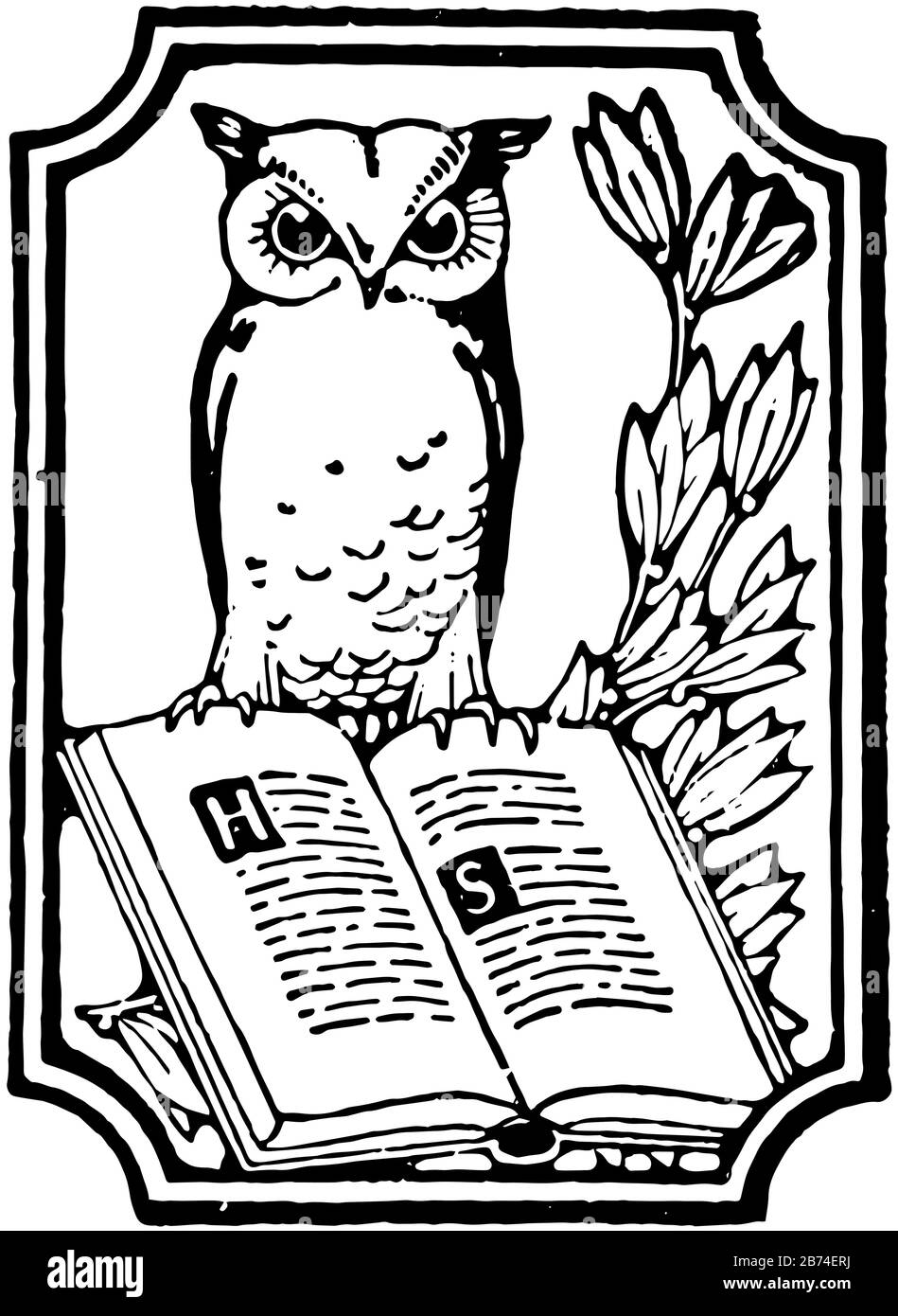 An owl perched on a book with a branch in the background, vintage line drawing or engraving illustration. Stock Vector