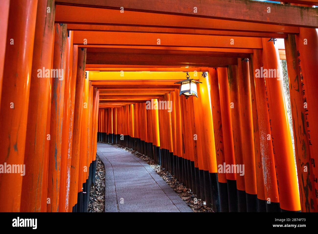 A Pathway Through the Orange Gates Stock Photo - Alamy