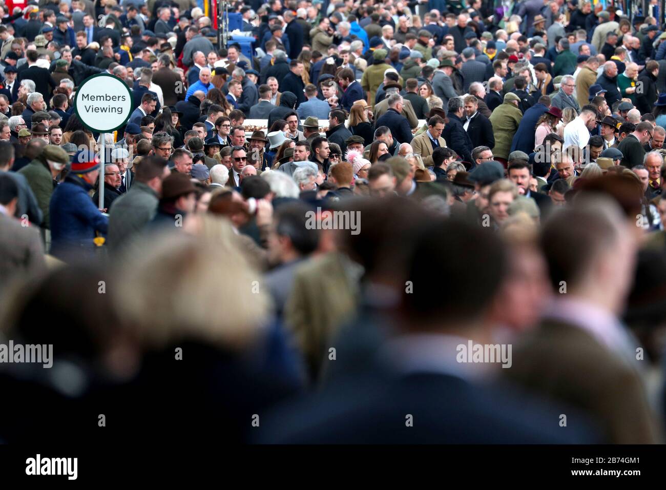 Cheltenham gold cup 2020 hi-res stock photography and images - Alamy