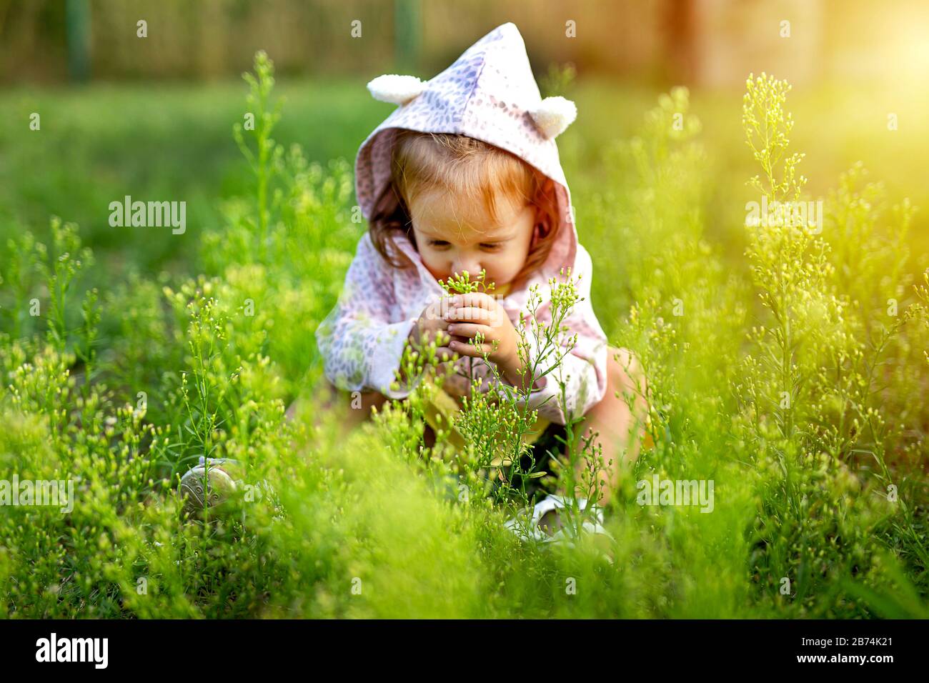 little cute girl playing on the field of grass Stock Photo - Alamy