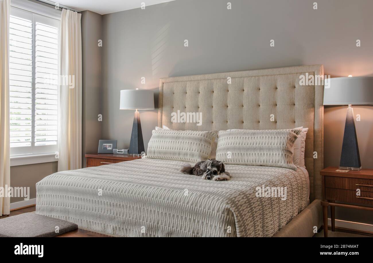 Mid century modern bedroom Stock Photo
