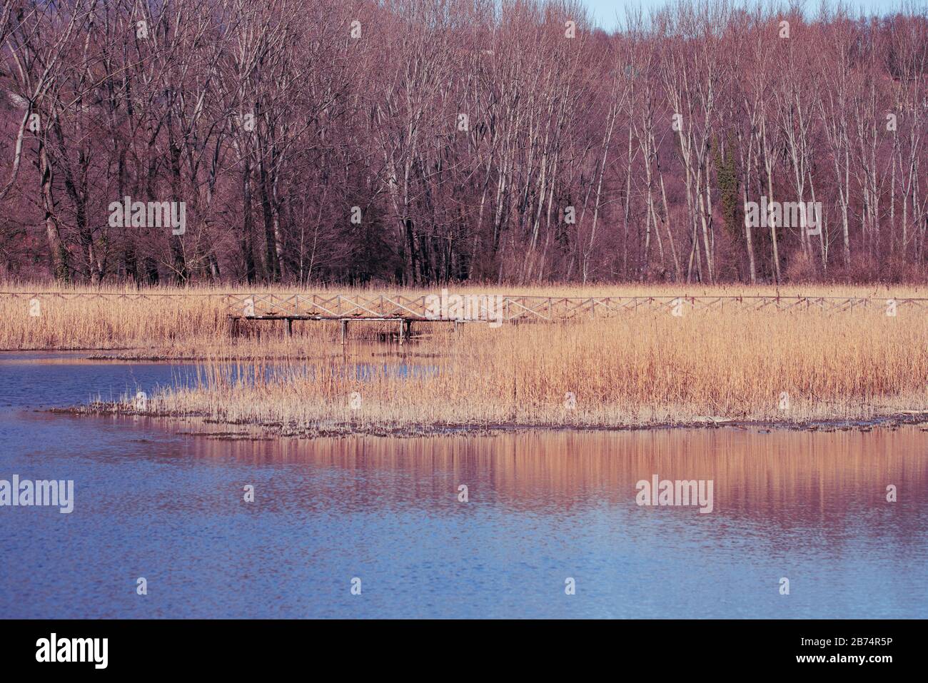 Landscape depicting a reed bed on the river crossed by a wooden bridge Stock Photo