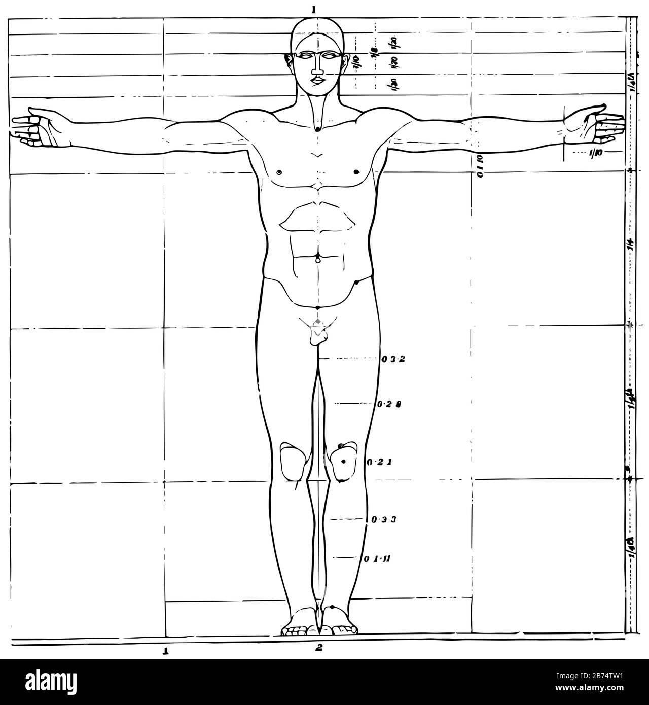 How to draw a figure in proportion - Artists & Illustrators