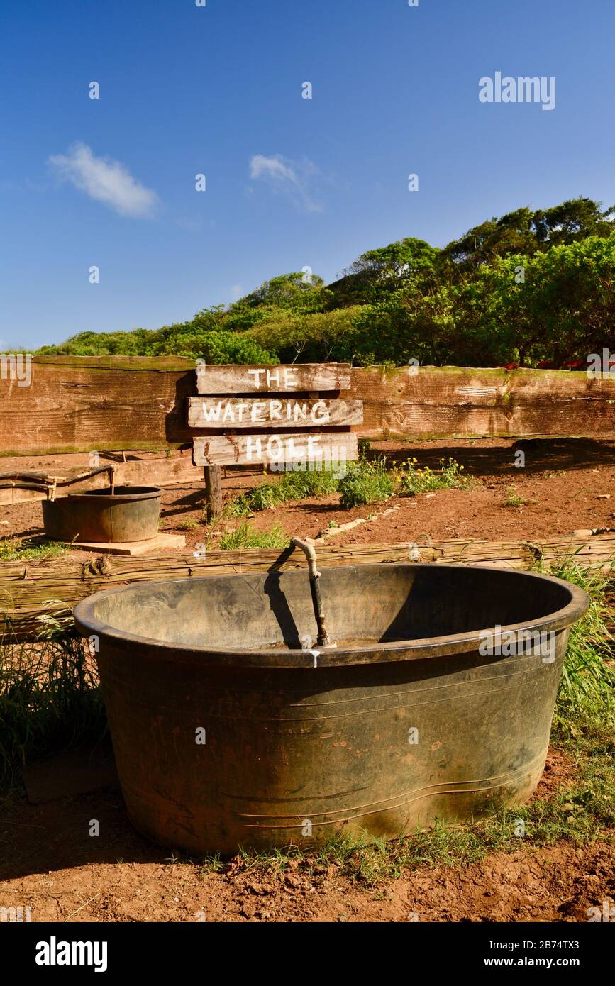 The Watering Hole Sign And Large Water Bucket For Horses Near Fence And Corral Stable At 900 Acre Gunstock Ranch Oahu Island Laie Hawaii Usa Stock Photo Alamy The Watering Hole Sign And Large Water Bucket For Horses Near Fence And Corral Stable At 900 Acre Gunstock Ranch Oahu Island Laie Hawaii Usa Stock Photo Alamy