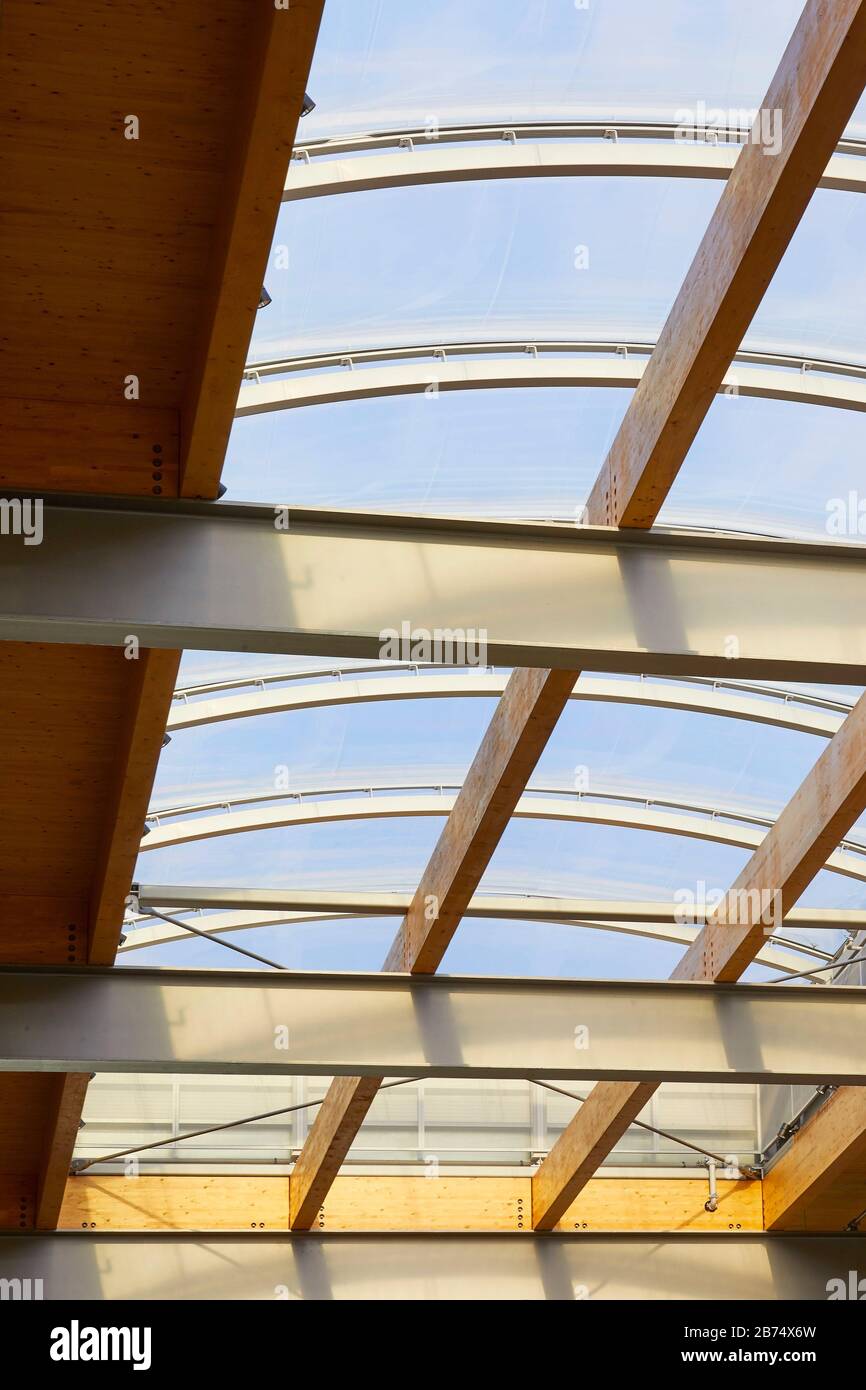 Longspanning steel structure supporting timber roof with skylight