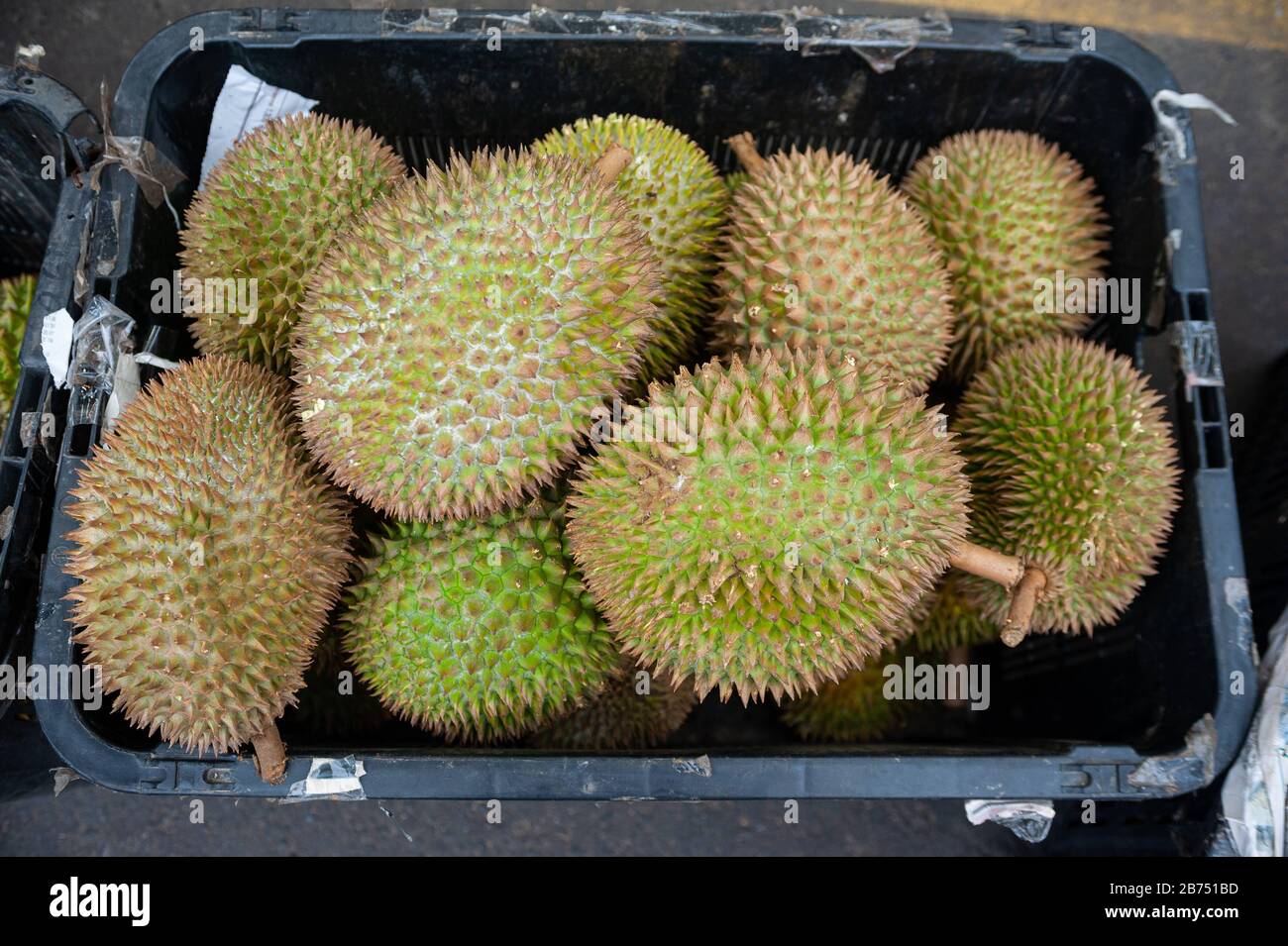 Vomit fruit hires stock photography and images Alamy