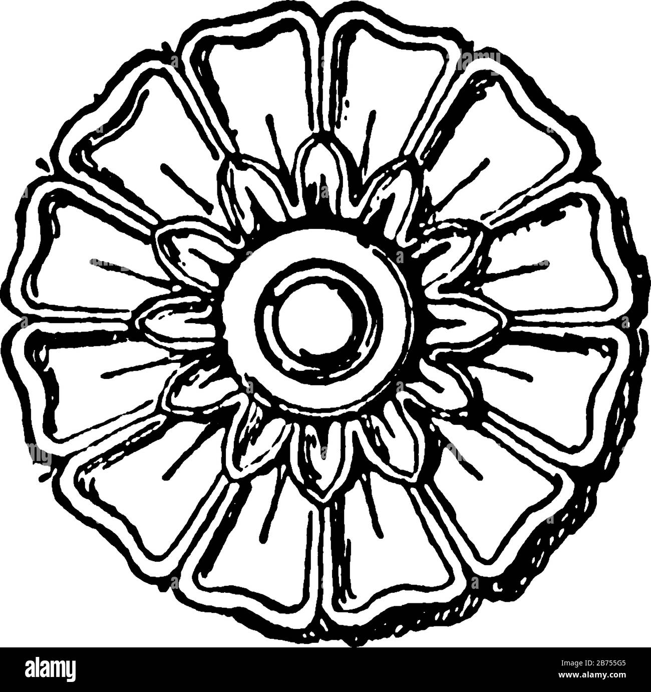 Rosette are from Erechtheion, vintage line drawing or engraving illustration. Stock Vector