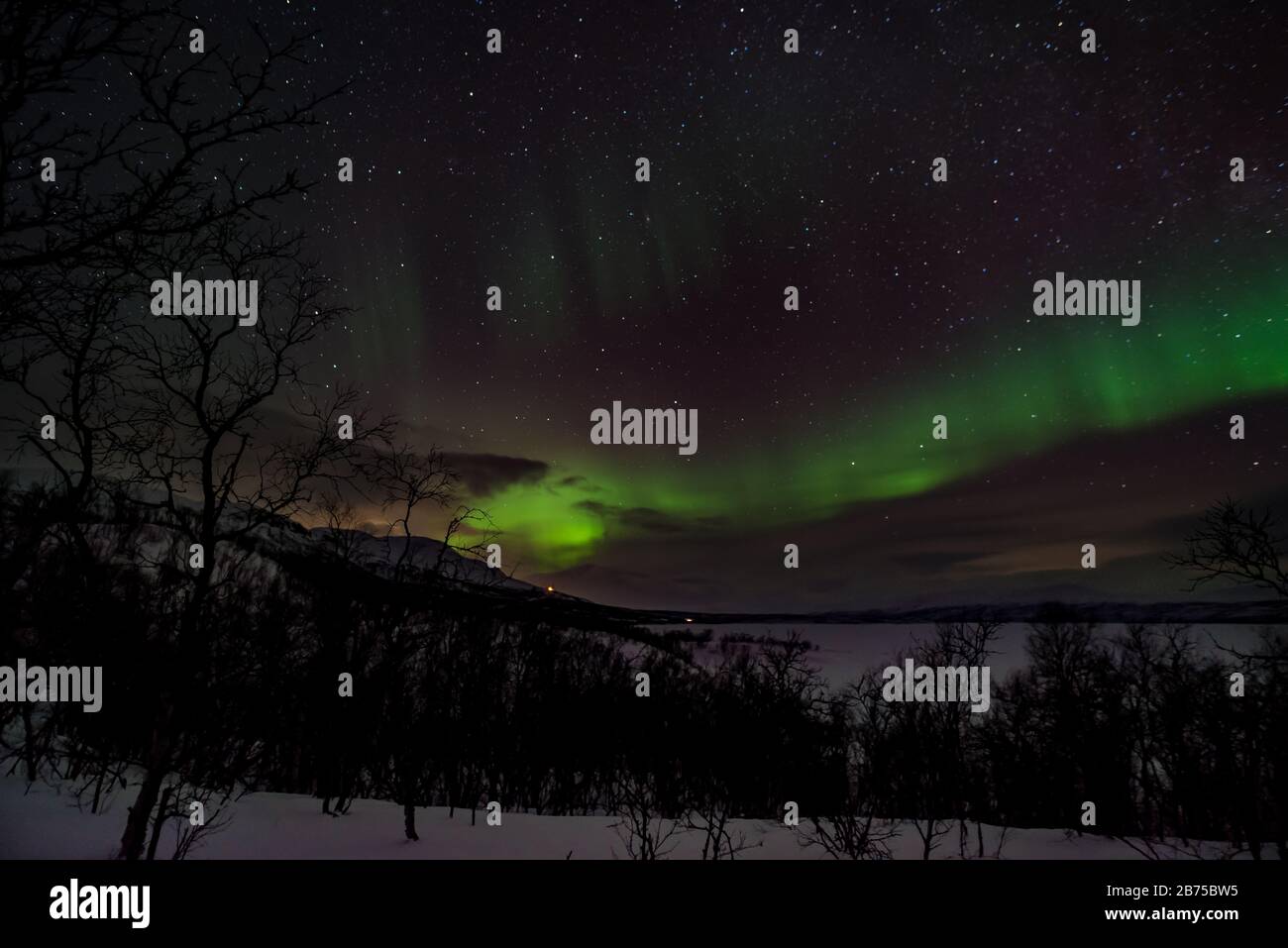 Northern lights in the northern part of Sweden Stock Photo - Alamy