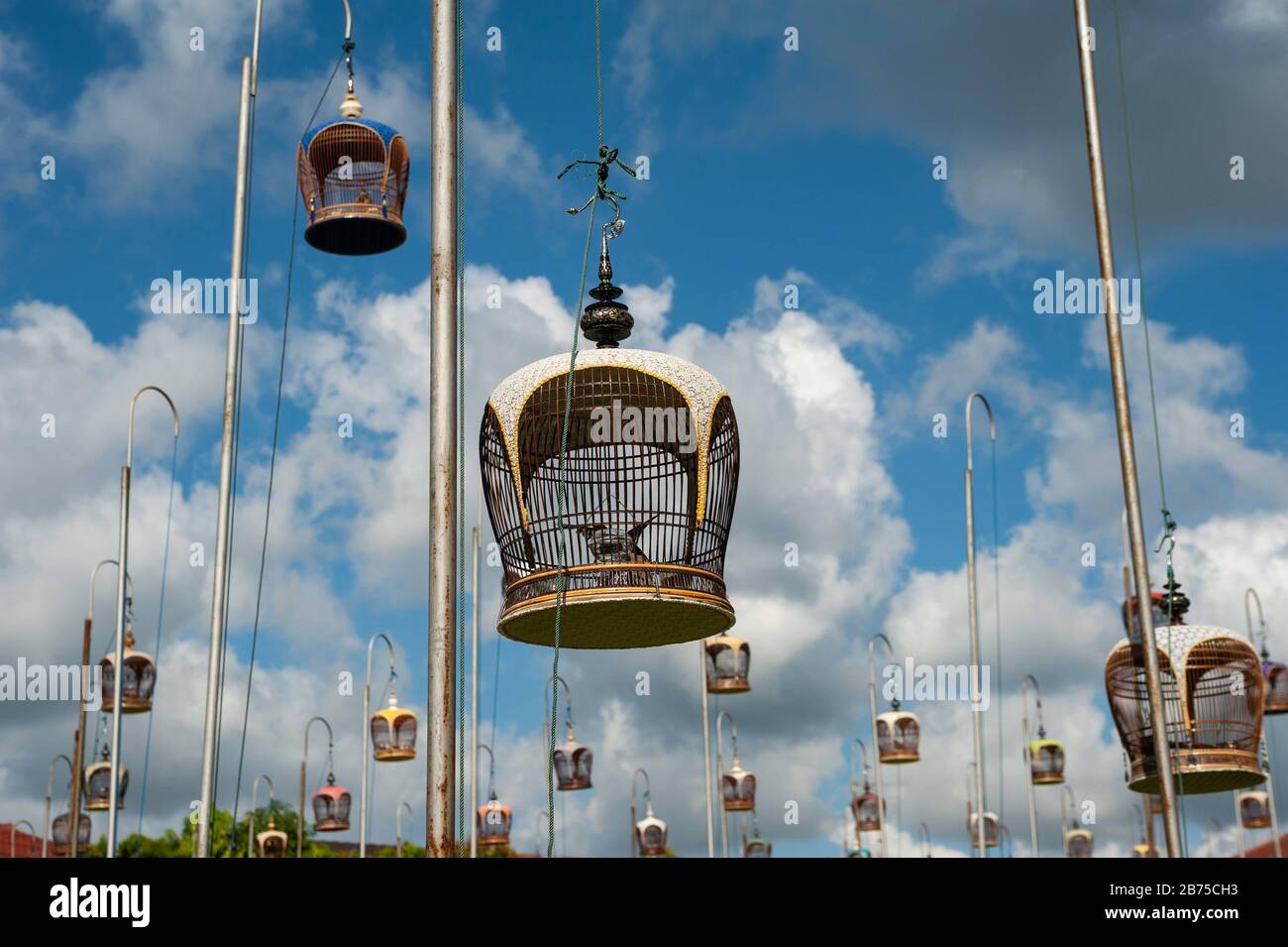 07.07.2013, Singapore, Republic of Singapore, Asia Bird cages hang