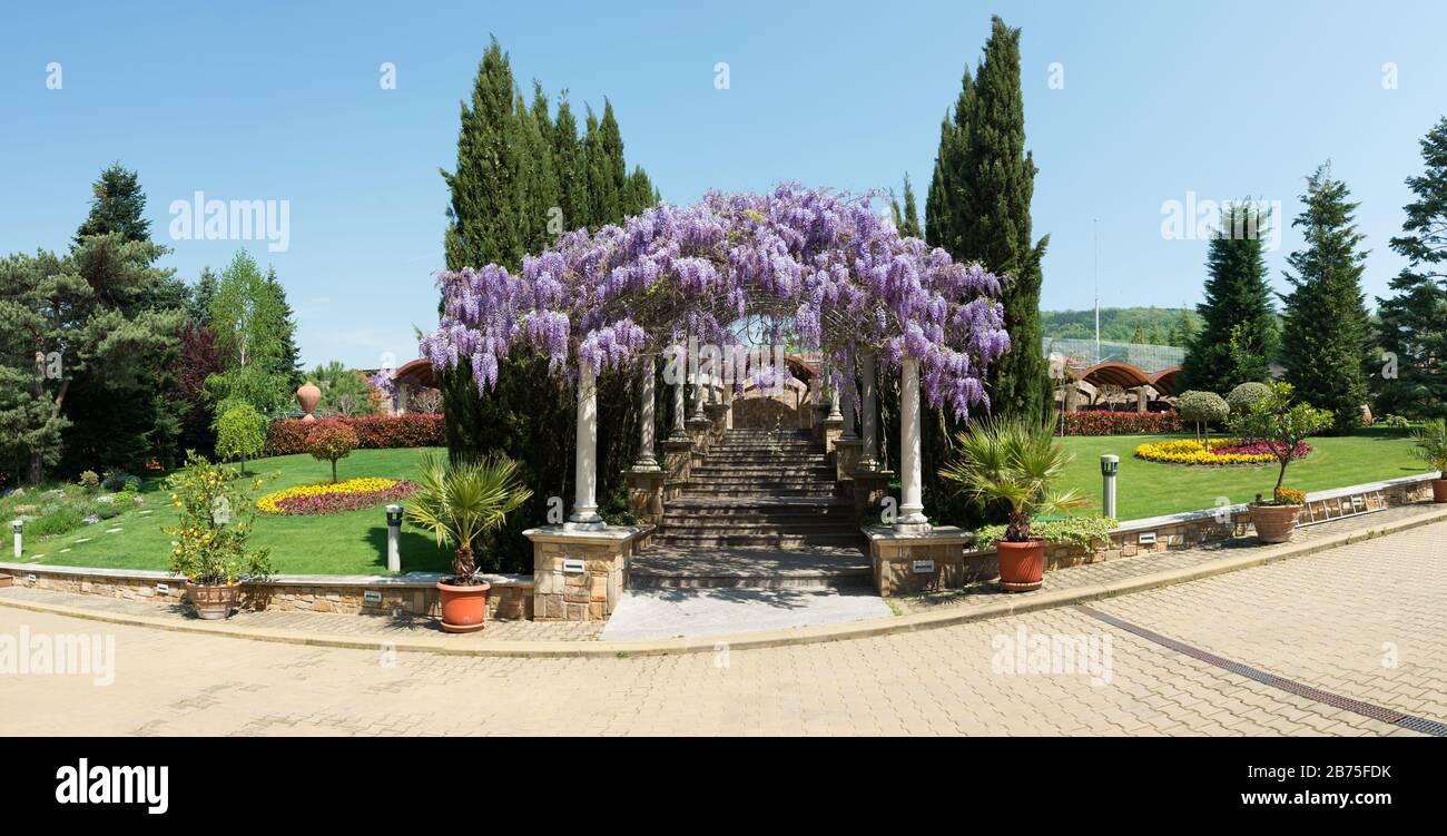 Arched constructionr covered with colorful lilac purple drooping