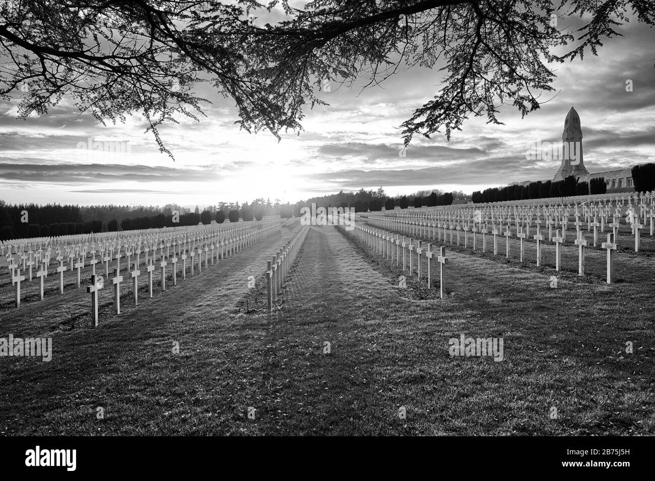 Military cemetery at Fort Douaumont from the Battle of Verdun in 1916, in the background on the right is the Douaumont Ossuary, where the bones of over 130,000 unidentified French and German soldiers are kept. [automated translation] Stock Photo