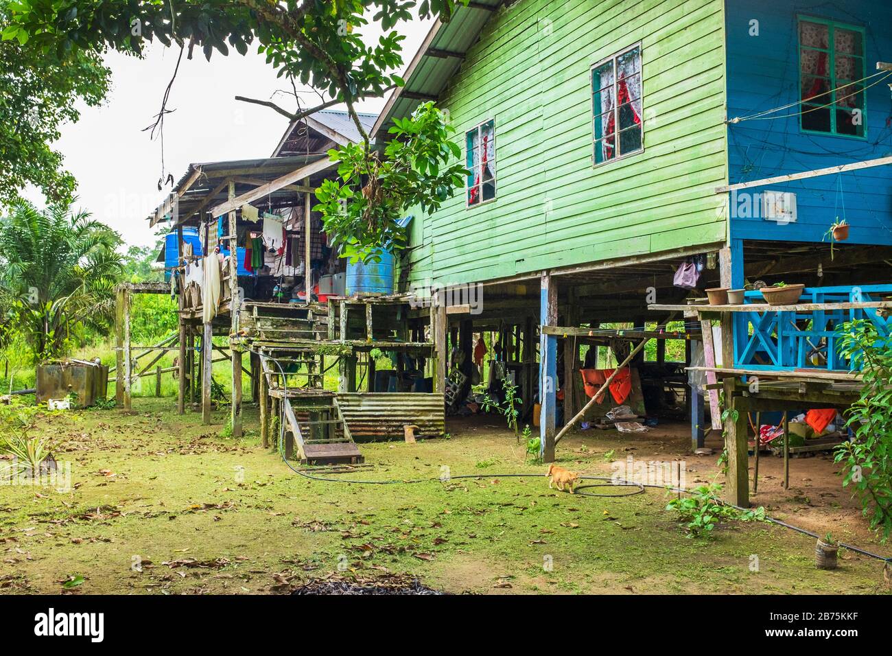 Traditional and common stilt house used by rain forest inhabitants in Borneo, Malaysia, Asia Stock Photo