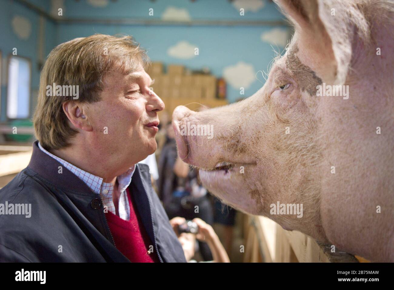 Michael Aufhauser founded a limited liability company under the name 'Gut Aiderbichl' and foundations that operate animal sanctuaries in the German-speaking world. Here he faces the sow 'Gertrud' on the first of his mercy courts in Henndorf am Wallersee. [automated translation] Stock Photo