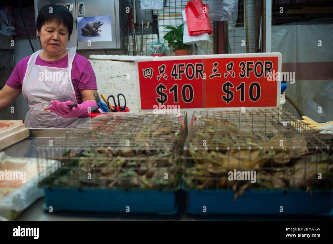 20.07.2017, Singapore, Republic of Singapore, Asia - A woman sells live frogs at a stand in the Chinatown market. [automated translation] Stock Photo