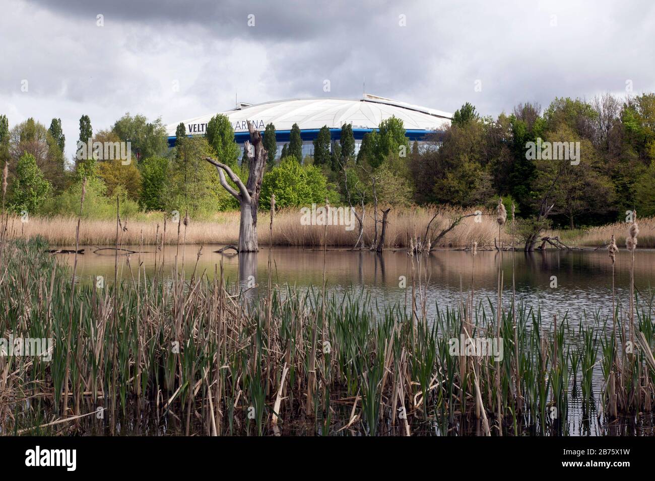Dead trees will stand in a biotope in front of the Schalke 04 Arena in Gelsenkirchen on 23.04.2017. Maybe this scene is a symbol for the constant up and down of the Schalke 04. [automated translation] Stock Photo