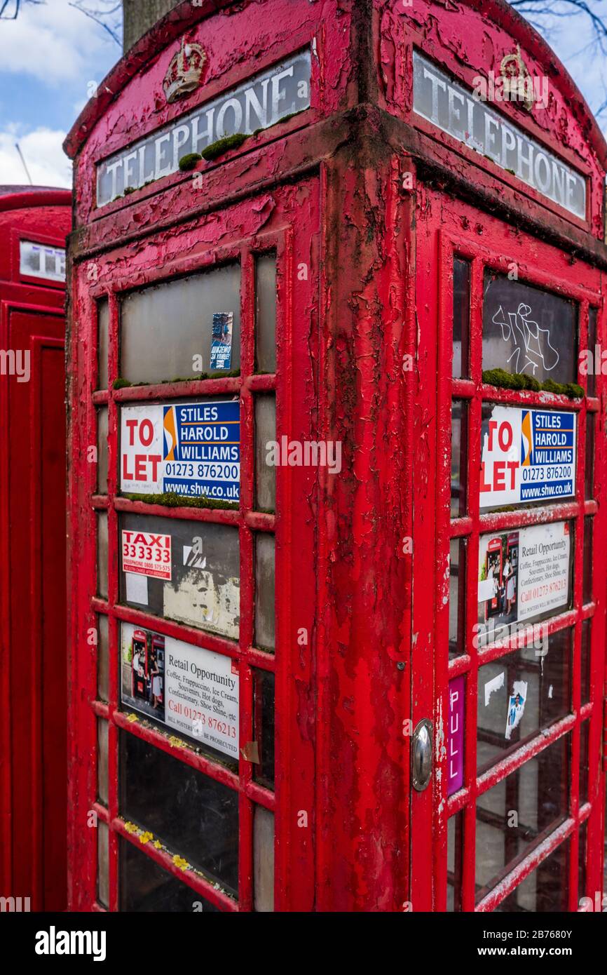 Decommissioned Red Telephone Boxes for rental in Central Norwich UK. Suggested use as food or coffee booths. Stock Photo