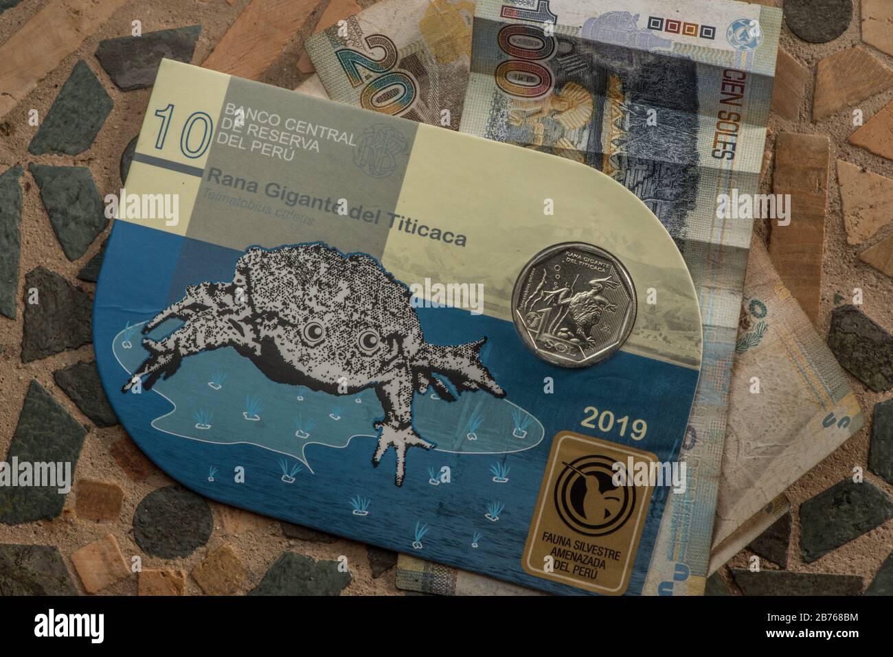 The peruvian government released sol coins commemorating endangered  species, one chosen species was Telmatobius culeus the lake titicaca water  frog Stock Photo - Alamy