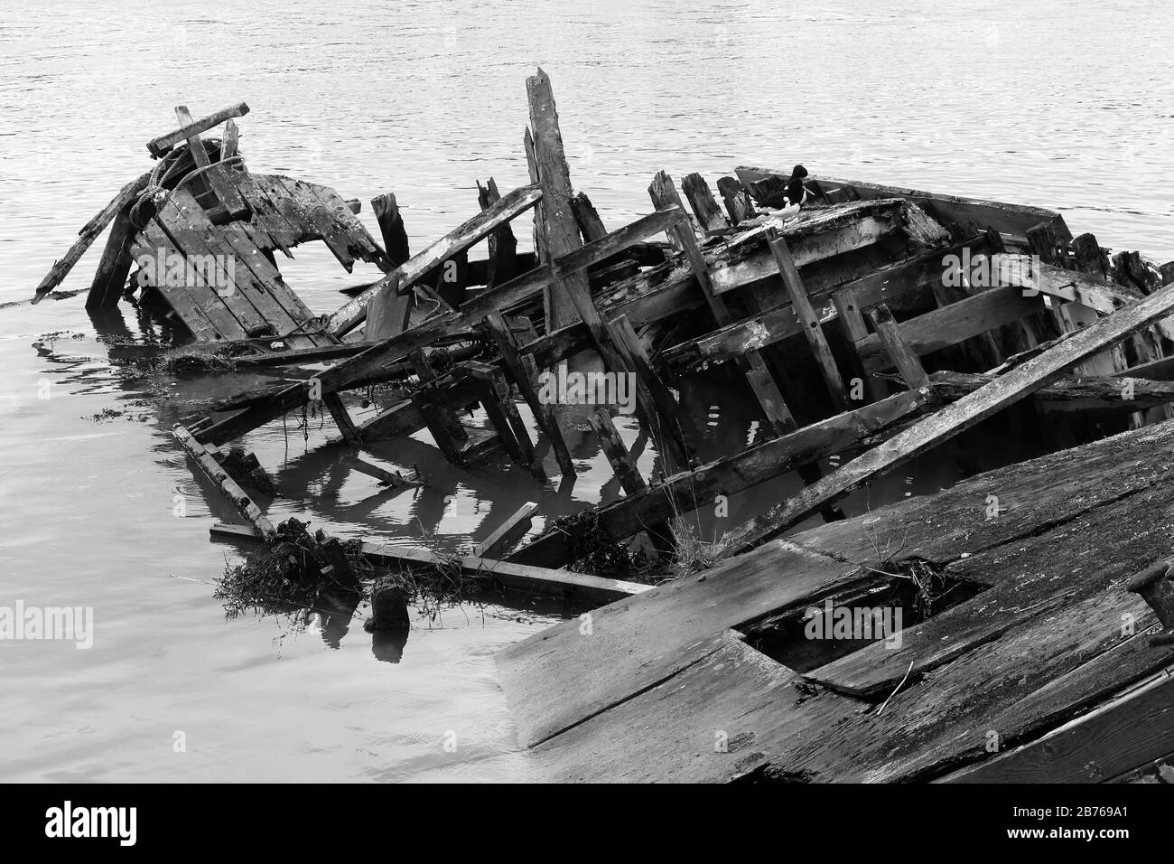 Woodbridge, Suffolk, UK - March 2020: Wooden boat wreck in the river Deben. Stock Photo