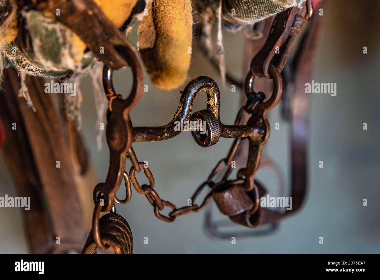 Leather horse bridles and bits hanging on a stable Stock Photo Alamy