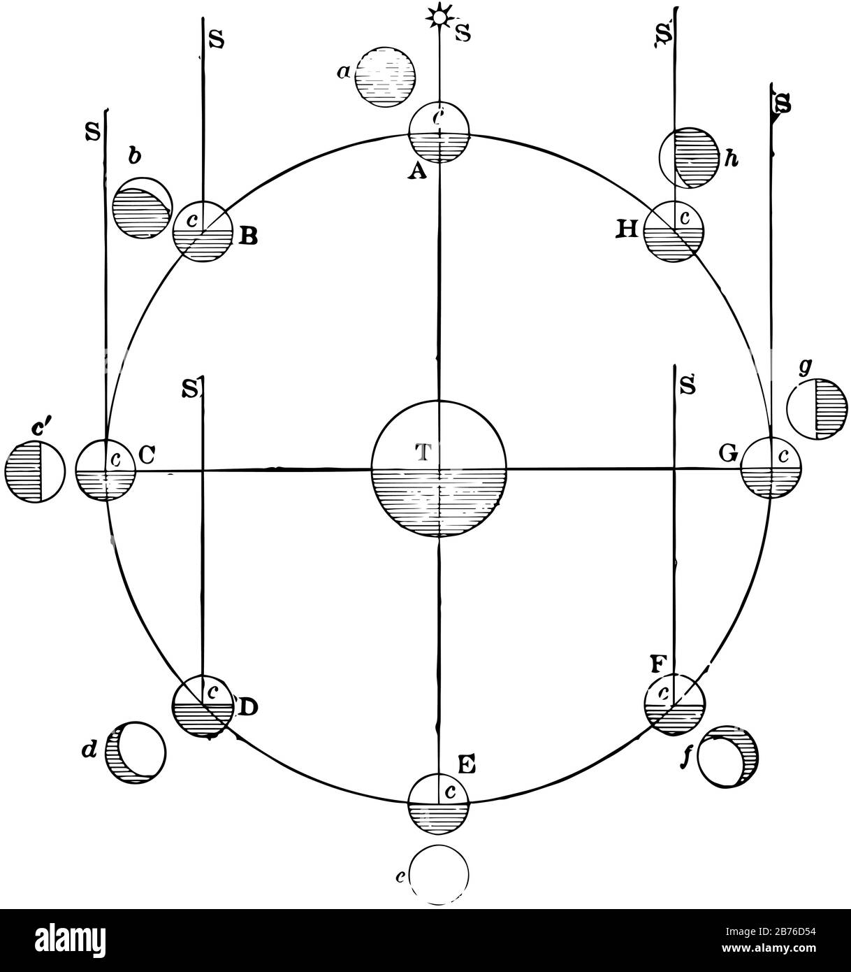 Phases of moon or lunar phase is shape of the moon which is exposed to sun , viewed from observer in earth, vintage line drawing or engraving illustra Stock Vector