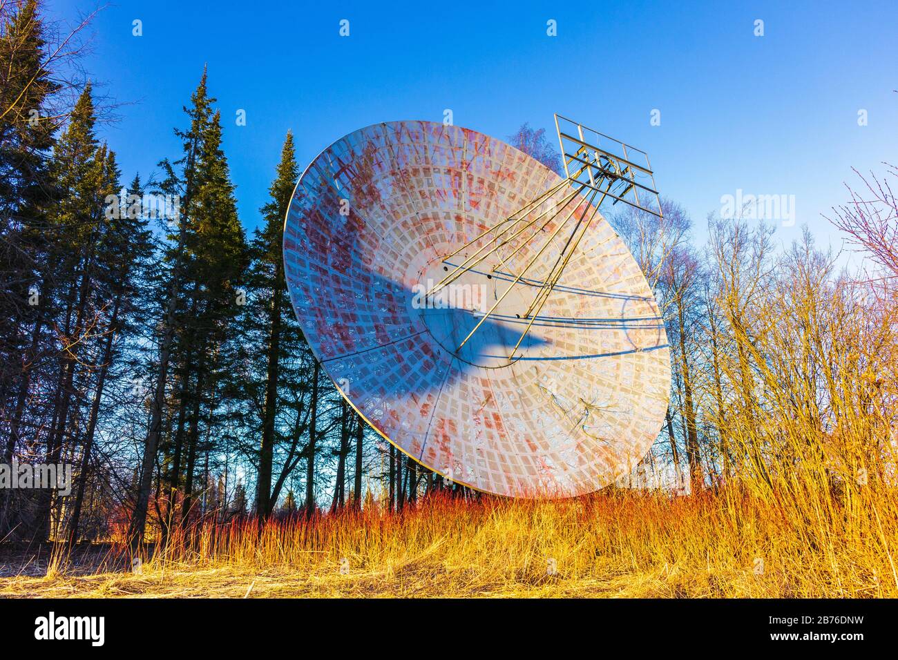 large radio astronomy telescope antenna in the forest broadcast signal  Stock Photo