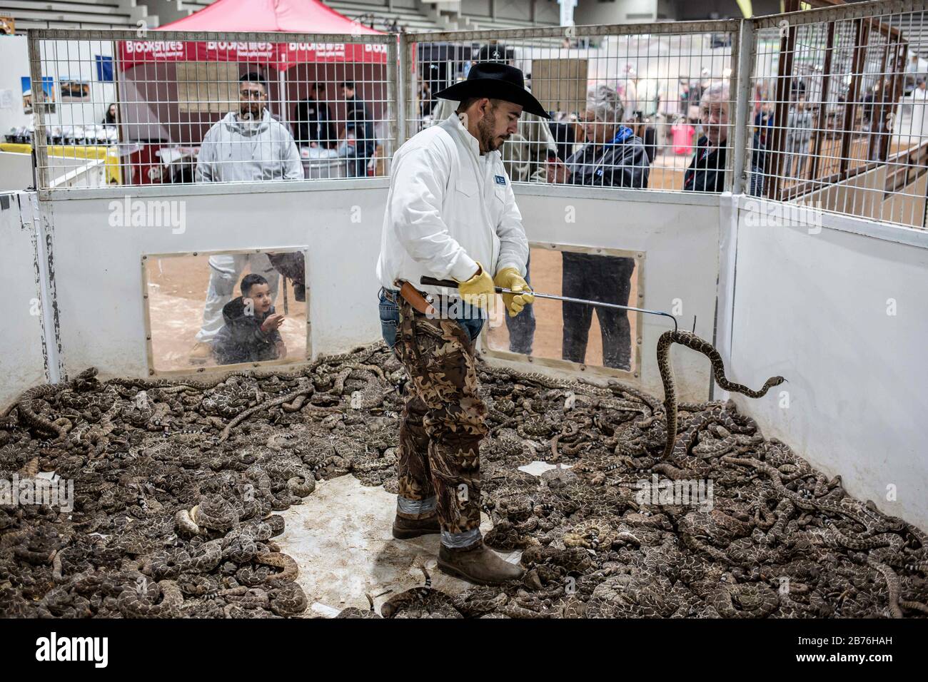 Texas Rattlesnake Rally Rattlesnake Roundup In Texas High Resolution Stock Photography and ...