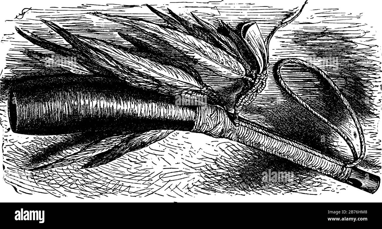 War Trumpet used by the Amazonian Indians in times of war, vintage line