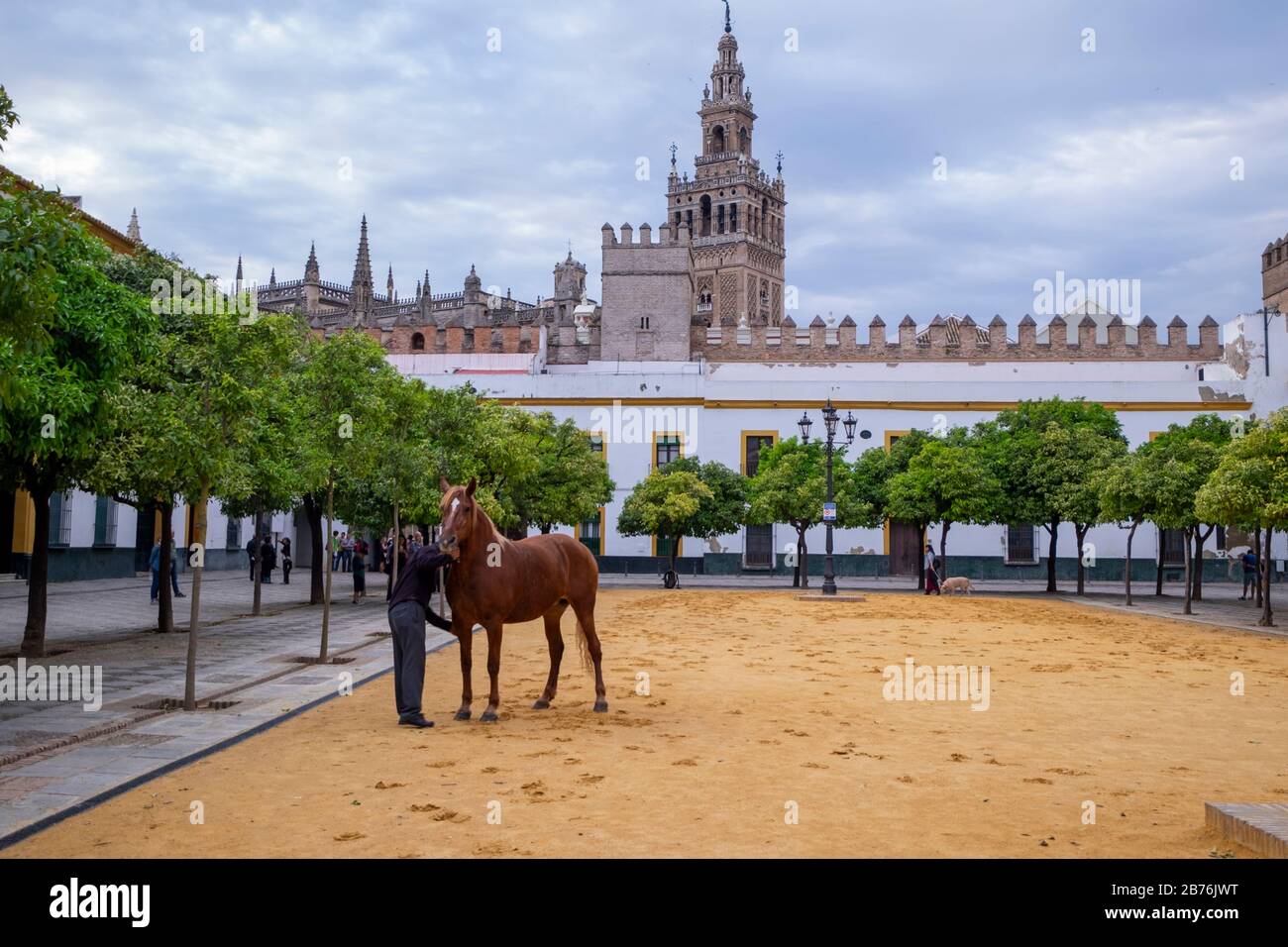 Andalusian horse. Sevilla, Spain Stock Photo