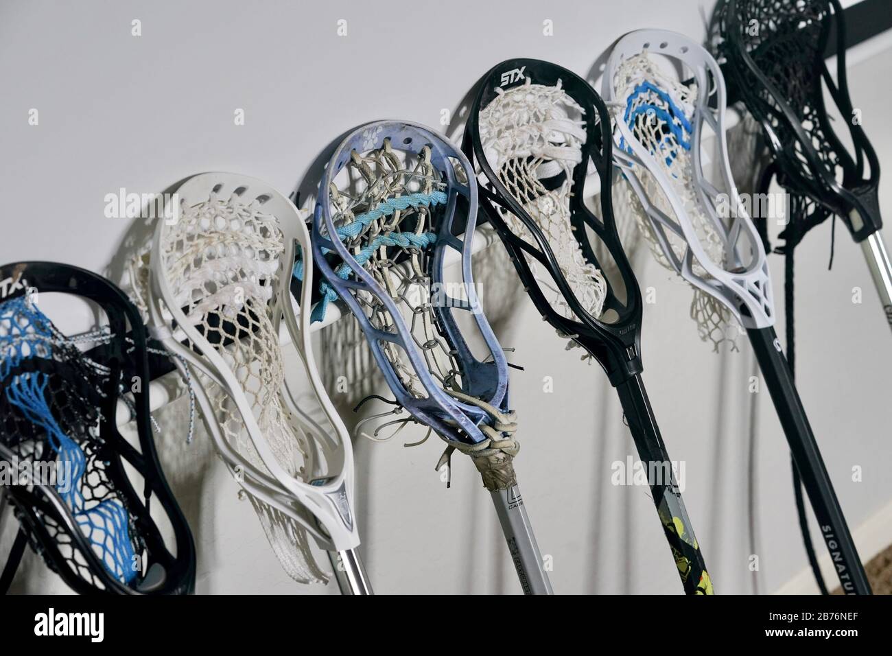 Lacrosse Sticks Male Female Stock Illustration - Download Image