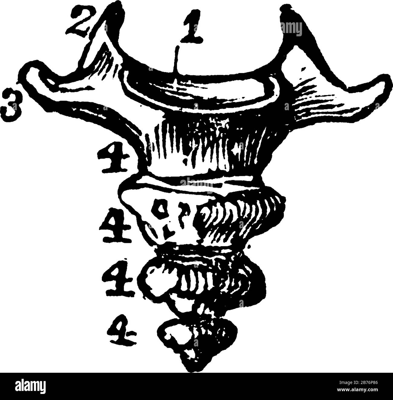 My Image 25