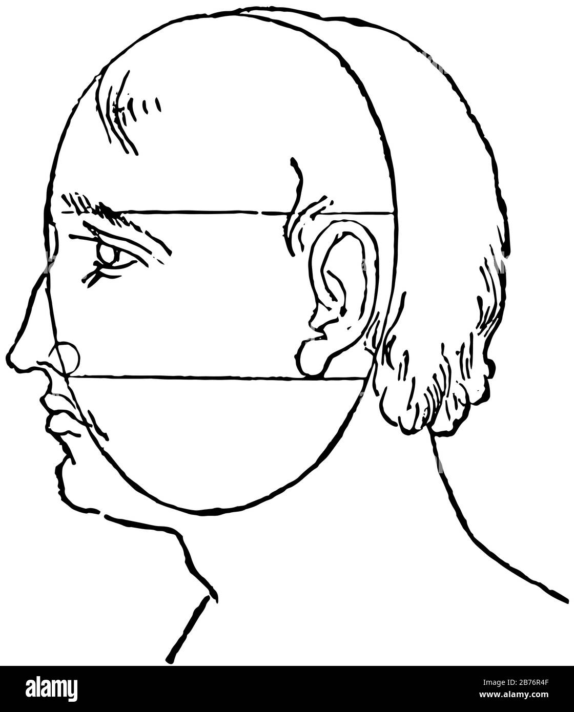 Face Perspective is simplify the head into its basic forms, it is drawn realistically is drawing with the laws of perspective, vintage line drawing or Stock Vector