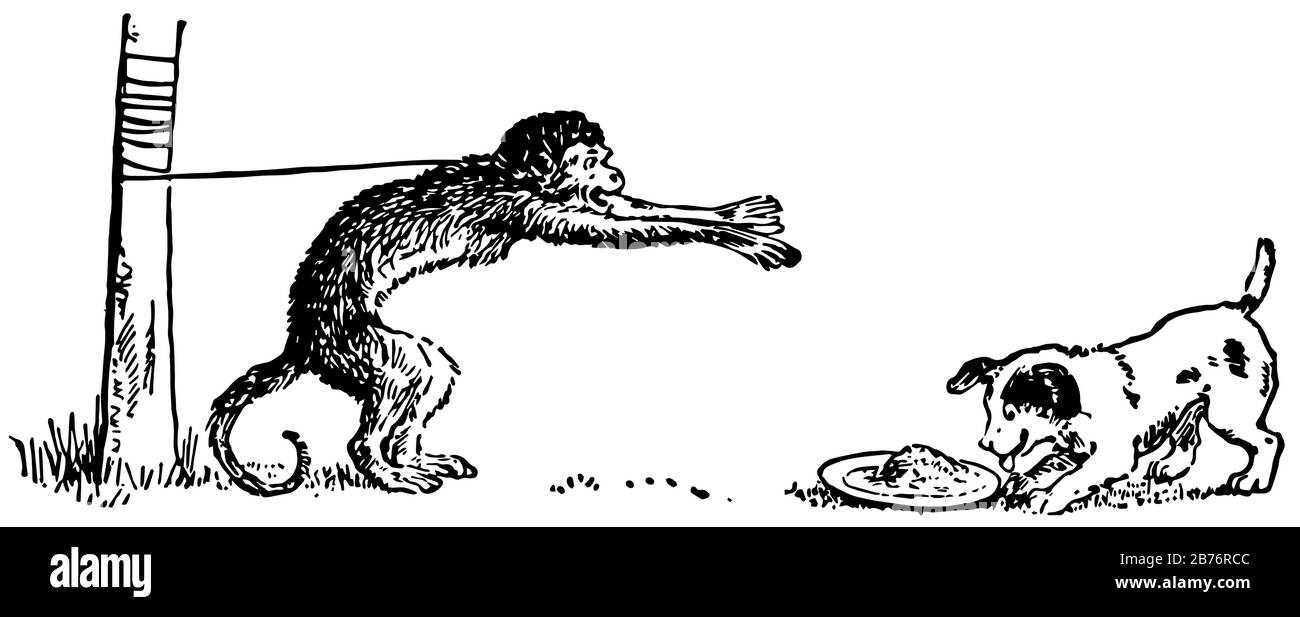 Dog eating on the ground Stock Vector Images Alamy