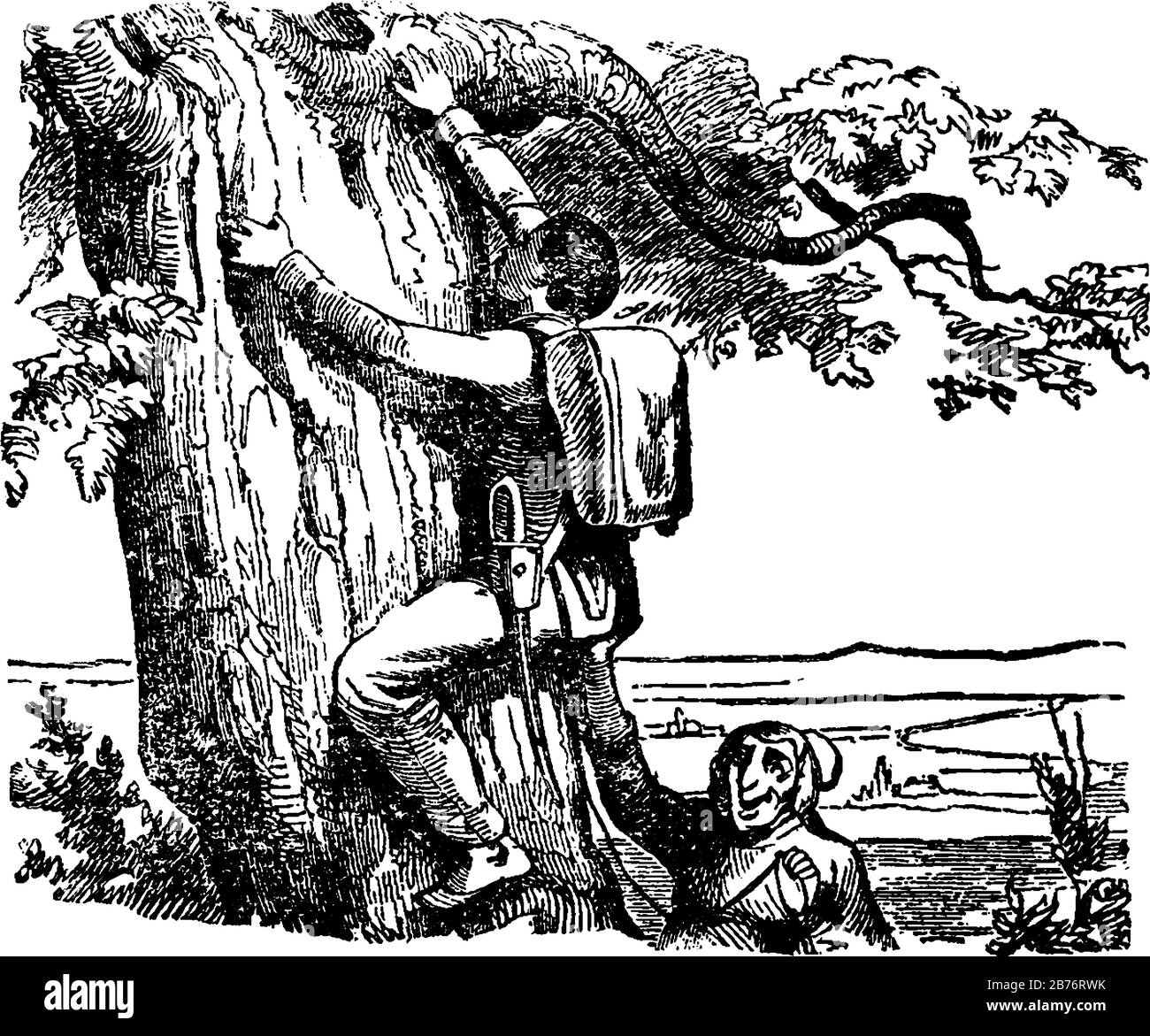 A man climbing tree and another man standing near tree giving support to him, vintage line drawing or engraving illustration Stock Vector
