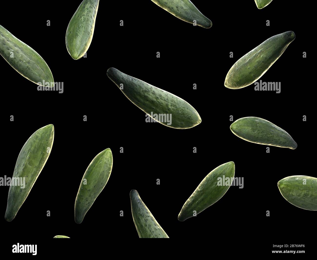 Cucumbers, computer illustration Stock Photo Alamy