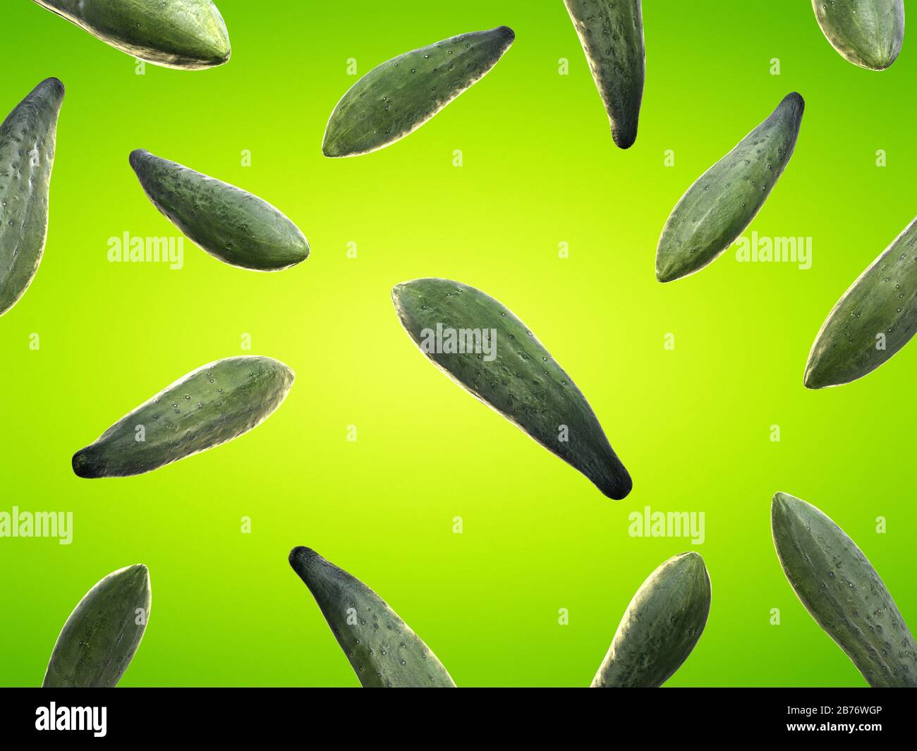 Cucumbers, computer illustration Stock Photo Alamy
