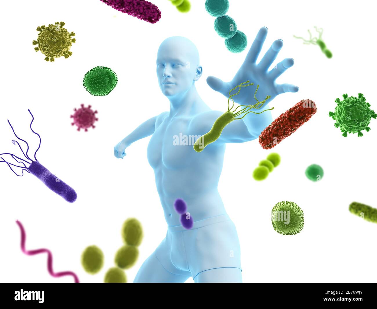 Immune system, conceptual computer illustration. Stock Photo