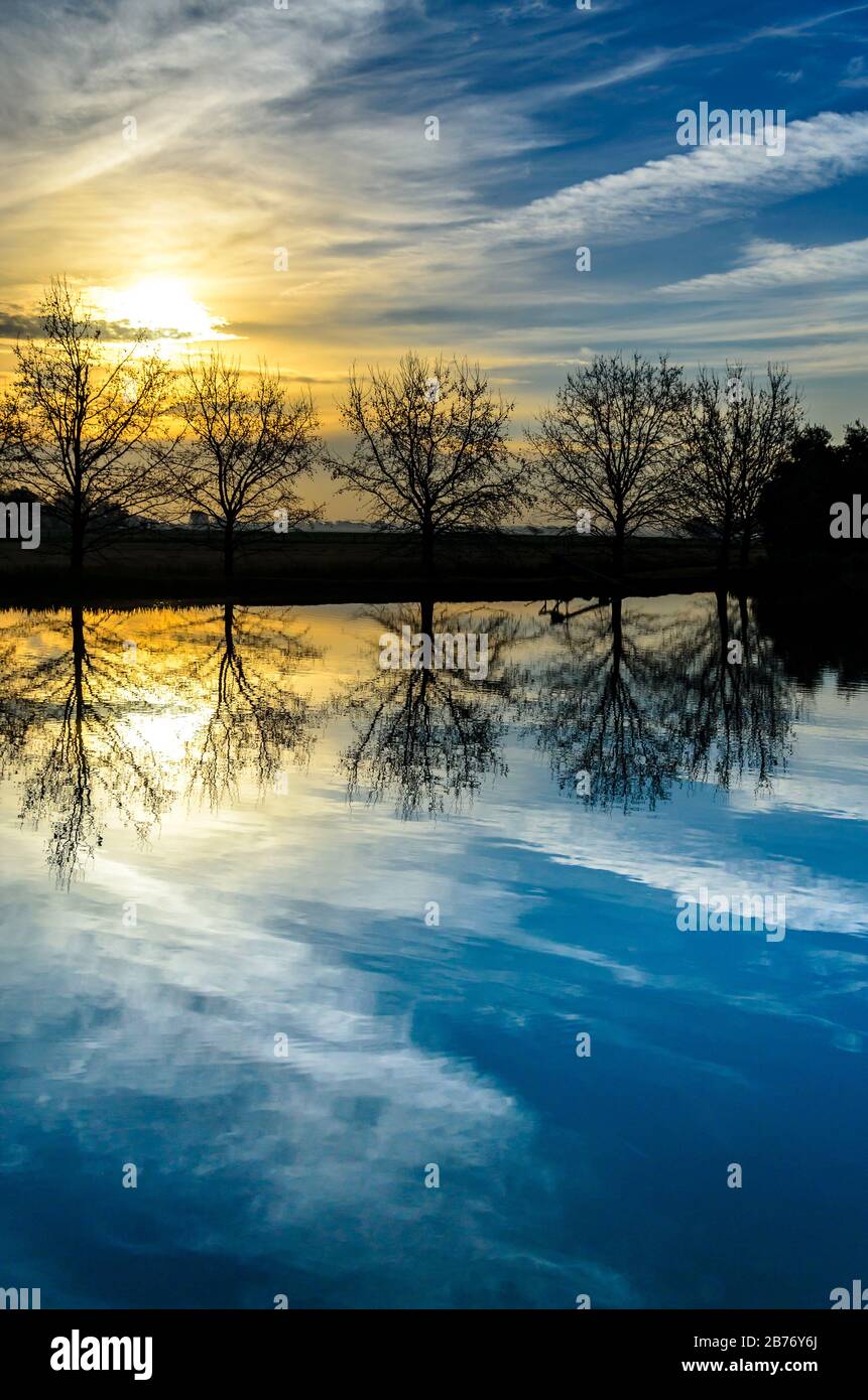 Lake reflecting like a mirror a line of trees the sky with clouds and ...