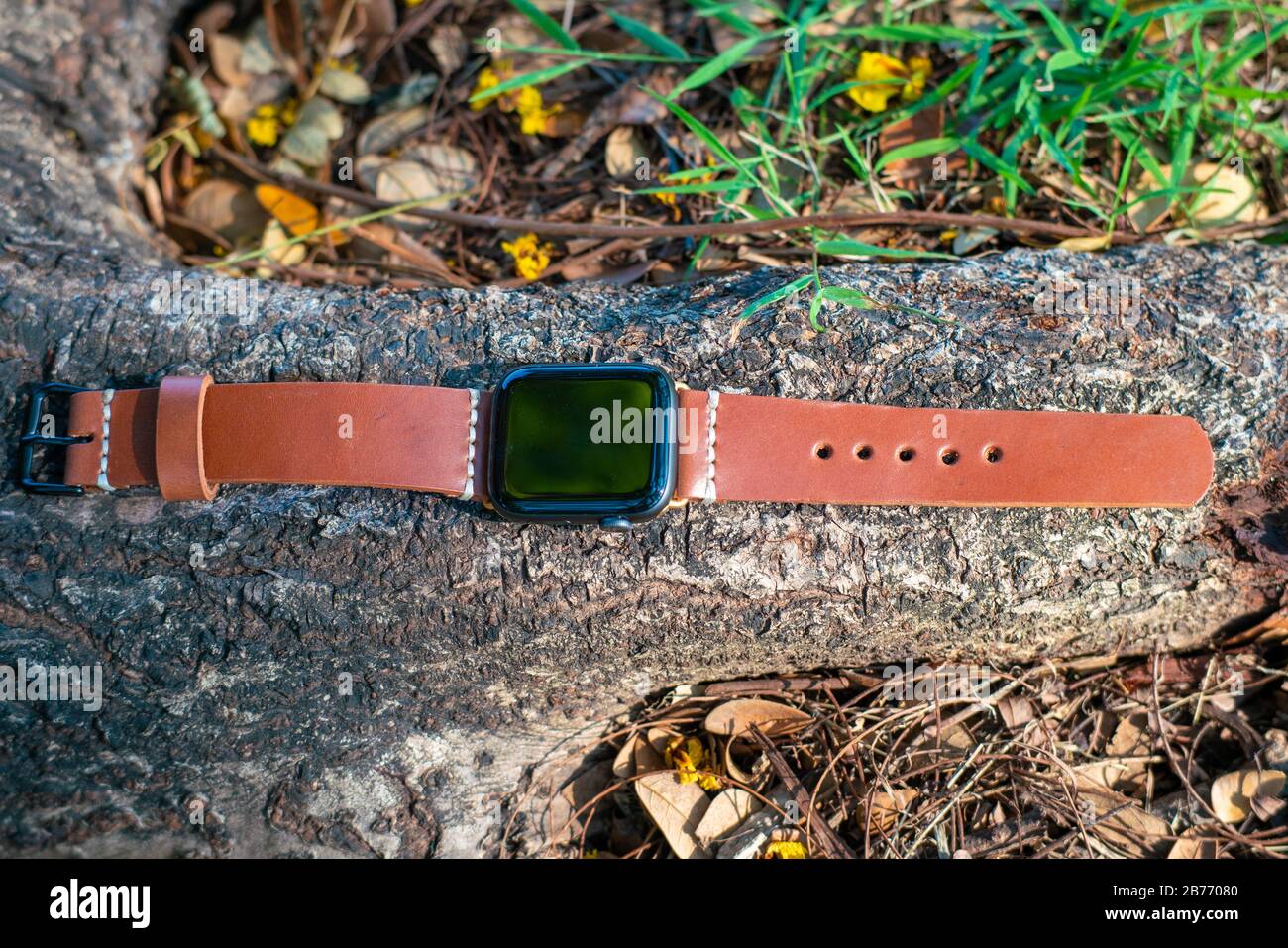 object smartwatch iphone