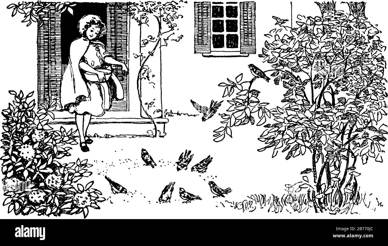 Girl with basket full of grains feeding birds in front of her house, vintage line drawing or engraving illustration. Stock Vector