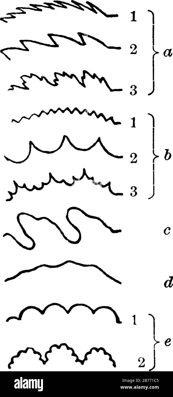 Scalloped margins Stock Vector Images Alamy